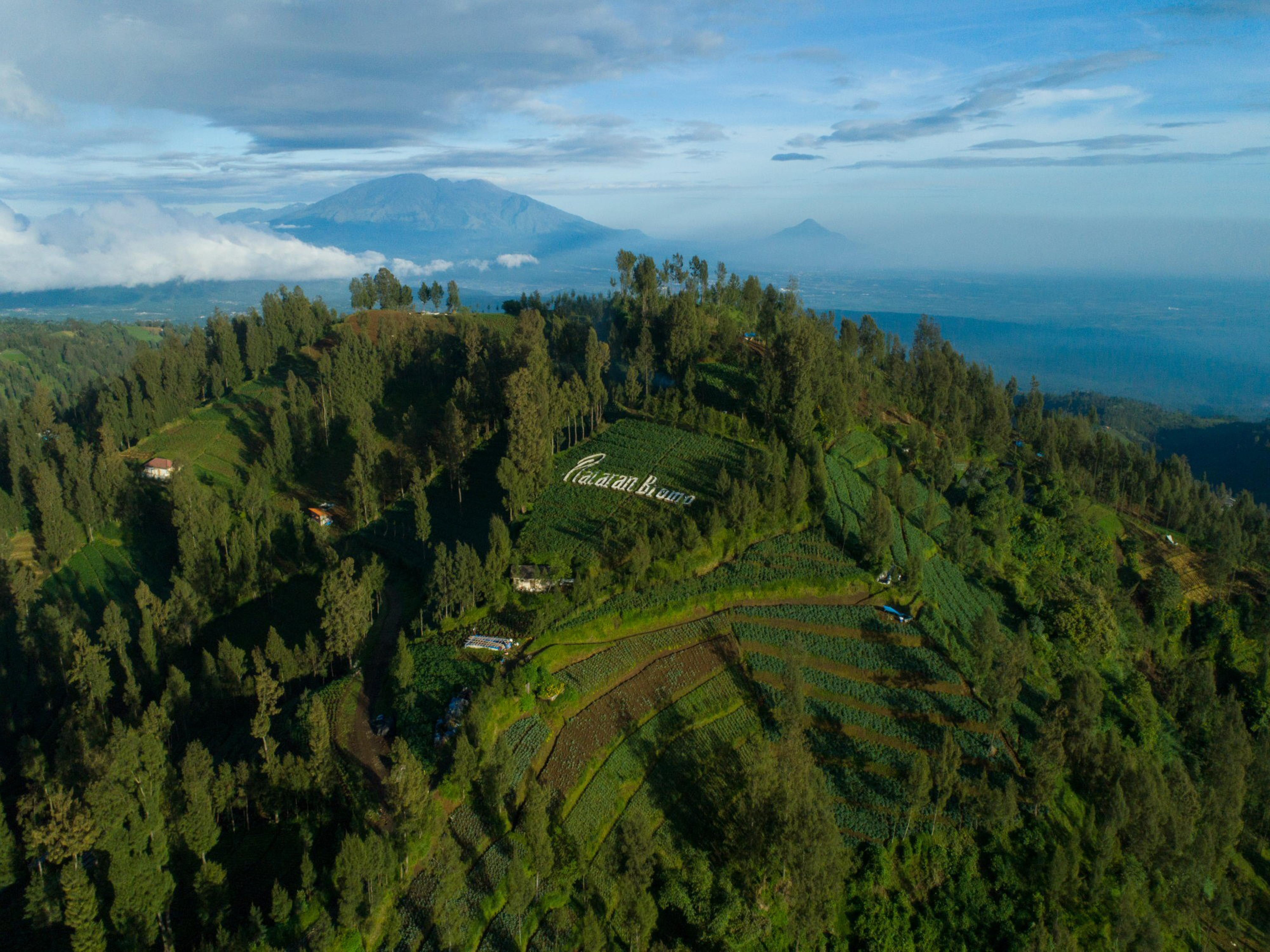 Hotel Plataran Bromo Zewnętrze zdjęcie
