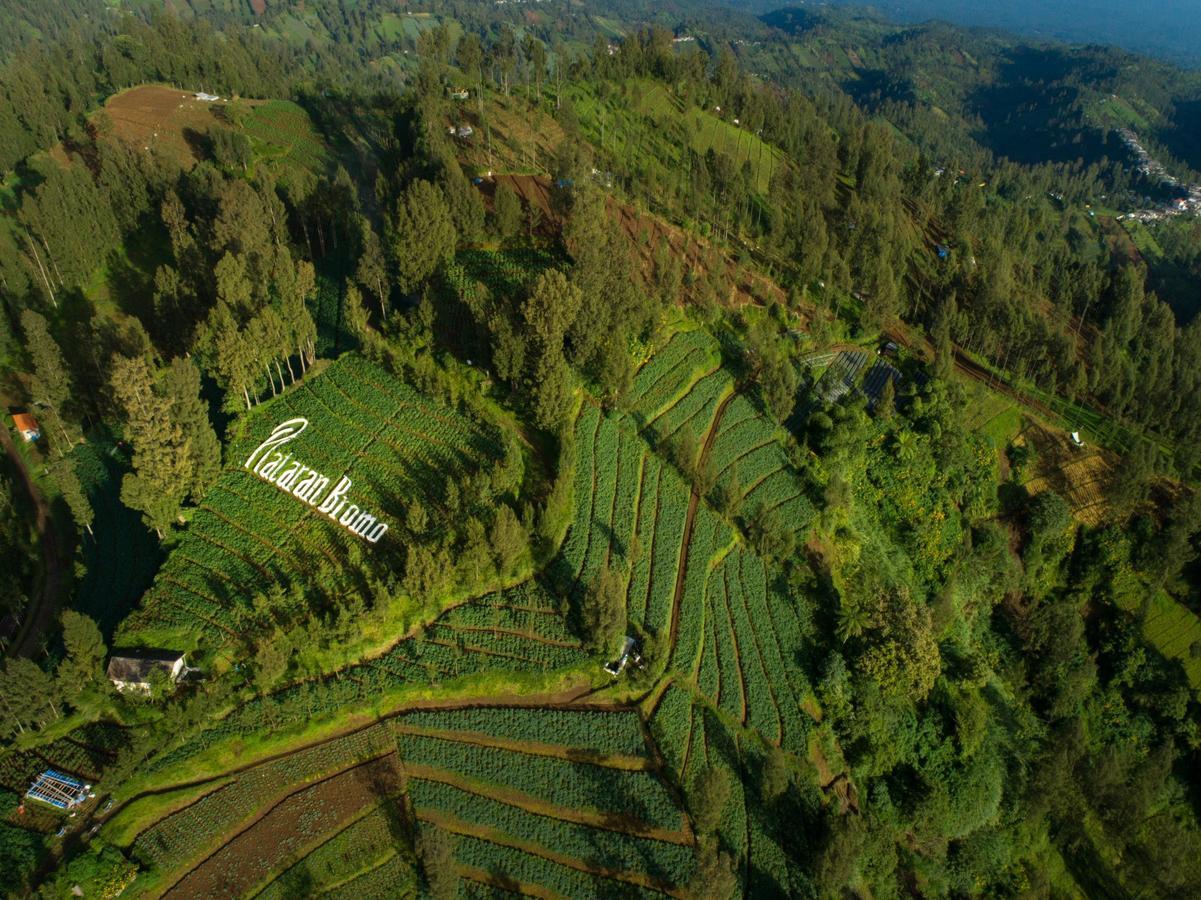 Hotel Plataran Bromo Zewnętrze zdjęcie