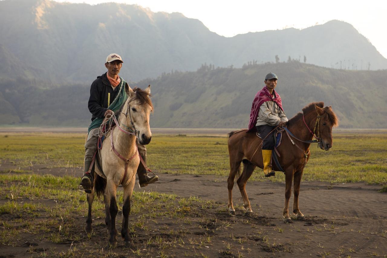 Hotel Plataran Bromo Zewnętrze zdjęcie