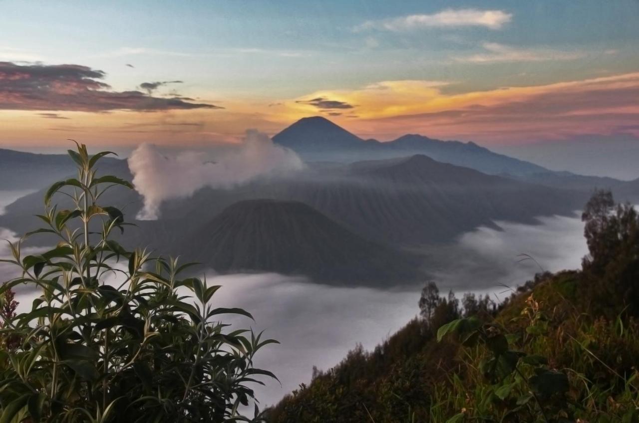Hotel Plataran Bromo Zewnętrze zdjęcie